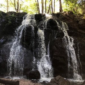 Meet your Posher, Steve